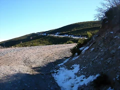 DSCN6843
