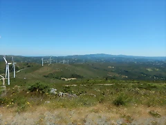 DSCN9507
