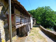 IMG_7541 IMG_7541