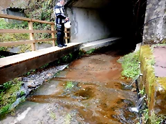 DSCN4802