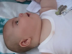 IMG_3963 IMG_3963