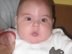 IMG_3248 IMG_3248