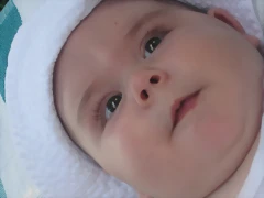 IMG_3961 IMG_3961