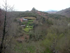 DSCN6287
