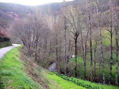 DSCN6288