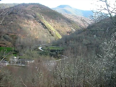 DSCN6383 DSCN6383