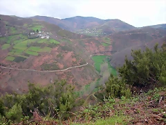 DSCN6304