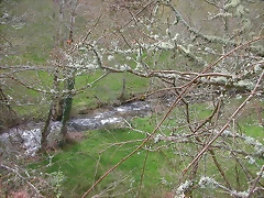 DSCN6291