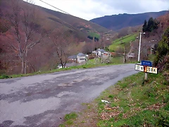 DSCN6296