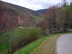 DSCN6295