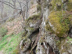 DSCN6335 DSCN6335