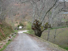 DSCN6333 DSCN6333