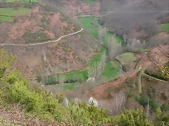 DSCN6315 DSCN6315