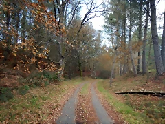 DSCN9369 DSCN9369