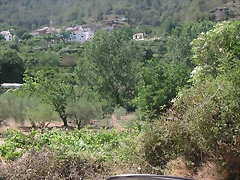 PICT0124