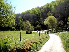 DSCN4513 DSCN4513