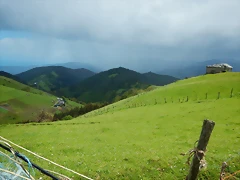 DSCN0649 DSCN0649