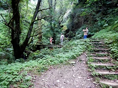 DSCN0906 DSCN0906