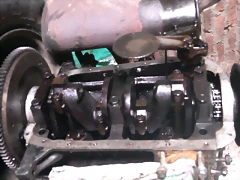 SAM_0177_resize
