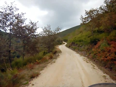 DSCN0154