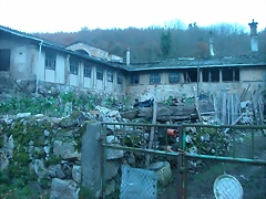 DSCN5030 DSCN5030
