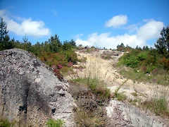 DSCN5327 DSCN5327