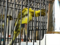 IMG_20170122_133226 IMG_20170122_133226