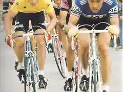 DAUPHINE 77,MERCKHX,HINAULT