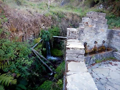 DSCN8075 DSCN8075