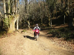 DSCN2292 DSCN2292