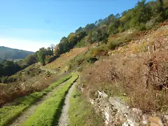 DSCN4486 DSCN4486