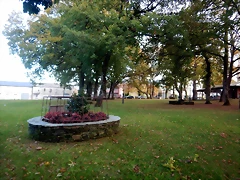 DSCN0555 DSCN0555