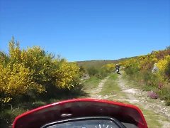 11-IMG_6492 11-IMG_6492