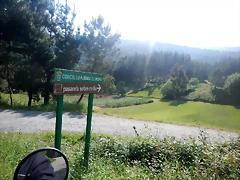 DSCN6195'2 DSCN6195'2