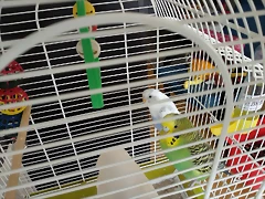 IMG_20200415_131842