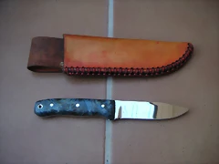 alamo rizado
