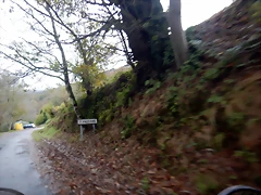 DSCN2917 DSCN2917