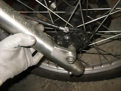 IMG_1225 IMG_1225