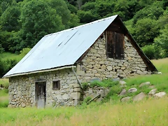 IMG_6682 IMG_6682