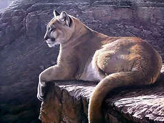 leon africano leon africano