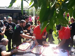 14581592_1786684431573960_2937323855409738231_n 14581592_1786684431573960_2937323855409738231_n