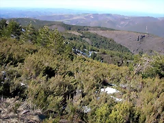 DSCN7967 DSCN7967