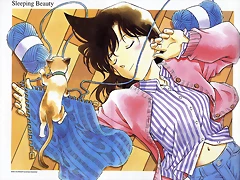 Detective Conan - Para Sininchi Detective Conan - Para Sininchi