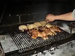 pollo