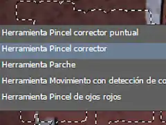 Pincel corrector 10