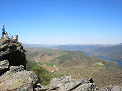 IMG_3634 IMG_3634