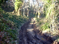 DSCN7730 DSCN7730