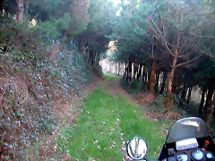 DSCN5762 DSCN5762