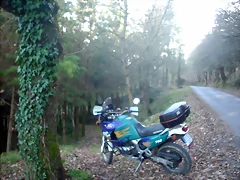 DSCN7737 DSCN7737