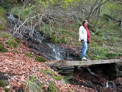 DSCN0714 DSCN0714